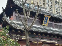 -上海白云观