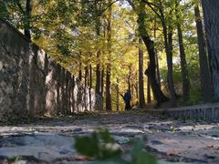 -阳台山自然风景区