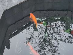 -西安市广仁寺