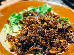 -阿山卓·野生菌火锅·纳西火塘烤肉