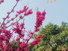 -无锡动物园·太湖欢乐园