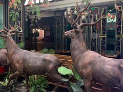 -新白鹿餐厅(爱琴海购物中心店)