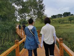 -御道口草原森林风景区