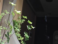 -鹤祥宫影院足道SPA连锁(吉大万国汇钰海店)