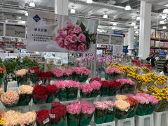 -山姆会员商店(上海浦东店)