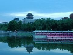 -莲花池公园