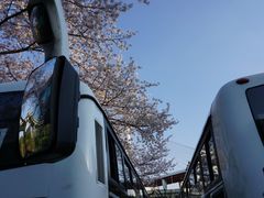 -上海南浦大桥长途旅游客运站