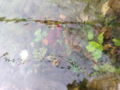 iphone_upload_pic-大连冰峪旅游度假区
