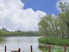 -杨柳青古镇
