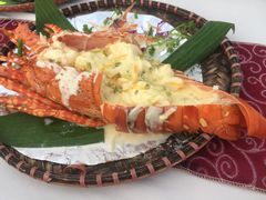-越海渔村