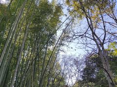 -汇龙潭
