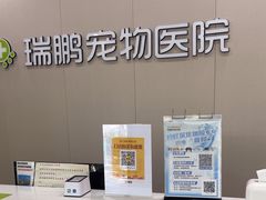 -瑞鹏宠物医院·骨外科·心肾科·肿瘤科(九亭店)