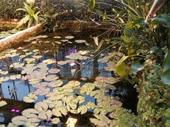 -国家植物园南园