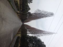 iphone_upload_pic-中国扬子鳄村