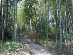 -塔川景区