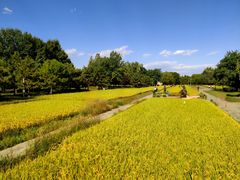 -北坞公园