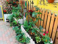 -Rabbit Cafe私房西餐甜点咖啡(栖霞路店)