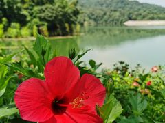 -广州市白云山风景名胜区