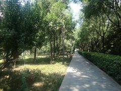 -唐城墙遗址公园