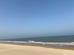 -日照海滨国家森林公园