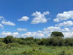 -塞罕坝国家级自然保护区