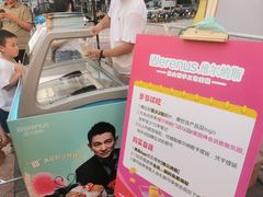 -维尔纳斯·生日蛋糕动物奶油冰淇淋蛋糕(人大店)