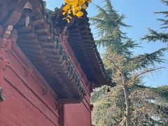 -洛阳白马寺