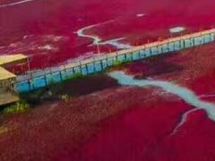 -红海滩国家风景廊道