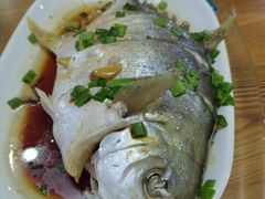 清蒸金昌鱼-力哥地道海南菜·联谊文昌鸡老店