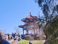 -白水寺森林公园