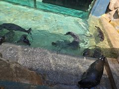 -蓬莱欧乐堡海洋极地世界
