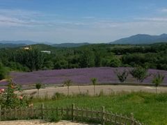 android_upload_pic-密云玫瑰情园