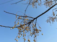 -敬亭山风景名胜区