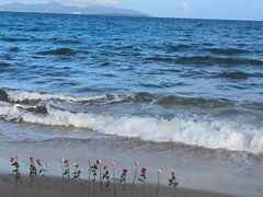 -玫瑰海岸文化旅游度假区