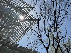 -熙古里艺术村