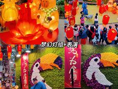 -正佳雨林生态植物园