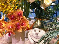 -BEAST野兽派(上海浦东嘉里城店)