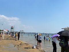 -碧海金沙