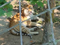 -西霞口神雕山野生动物世界