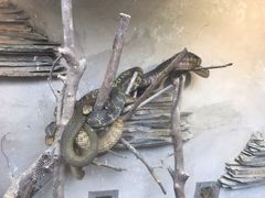 -荔城生鲜盛宴(番禺旗舰店)