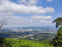 -黄埔油麻山森林公园