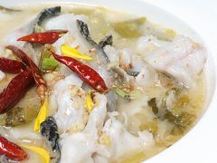 大树酸菜鱼-大树餐厅(红旗街万达店)