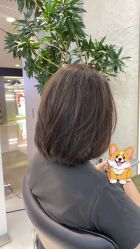 -HaLo hair studio