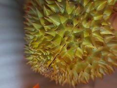 -物美超市(下沙店)