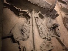 -洛阳周王城天子驾六博物馆