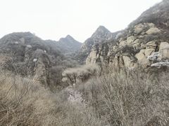 -大岭沟猕猴桃谷风景区