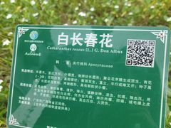 -广西壮族自治区药用植物园