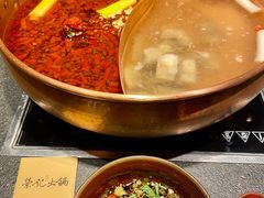 -荣记火锅(青悦城店)