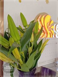 -尚艺造型.剪烫染.接发