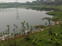 -野芷湖(地铁站)